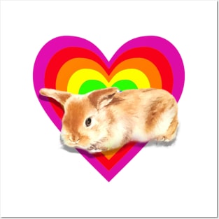 Gorgeous baby satin mini lop in a heart design! Posters and Art